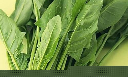 菠菜公司网址(菠菜公司是什么公司) (3